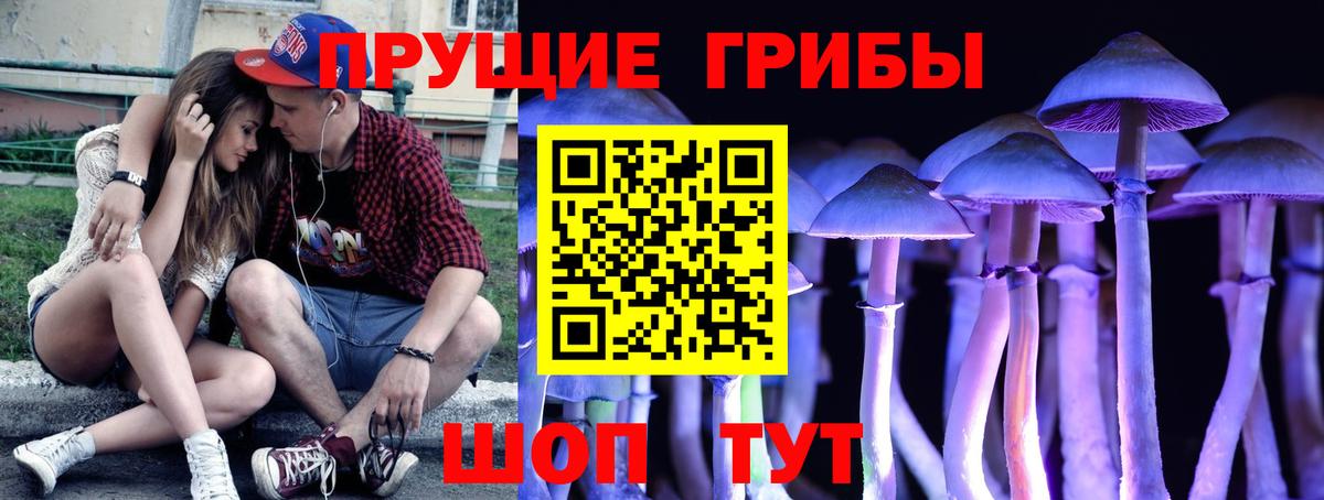Полысаево  Галлюциногенные грибы мухоморы  Вход с VPN 